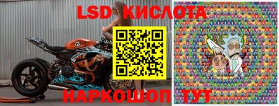 ПСИЛОЦИБИНОВЫЕ ГРИБЫ Донской