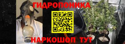 ПСИЛОЦИБИНОВЫЕ ГРИБЫ Донской