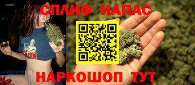 jwh Дубна