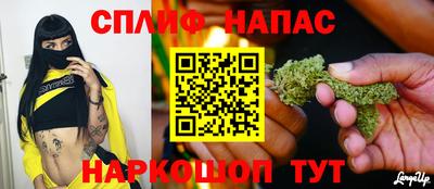 jwh Дубна